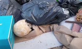 Macabro hallazgo en Playa Grande: encontraron un cráneo en la basura 