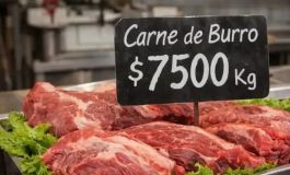 ¿Comerías carne de burro? La polémica que estalló en Chubut y divide a los consumidores