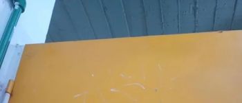 Amenazas de tiroteos en escuelas: crece la alarma en todo el país y preocupa el efecto de redes sociales